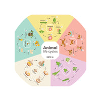 Animal Life Cycles Insert