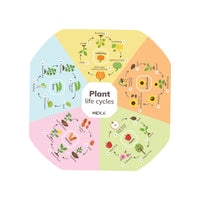 Plant Life Cycles Insert