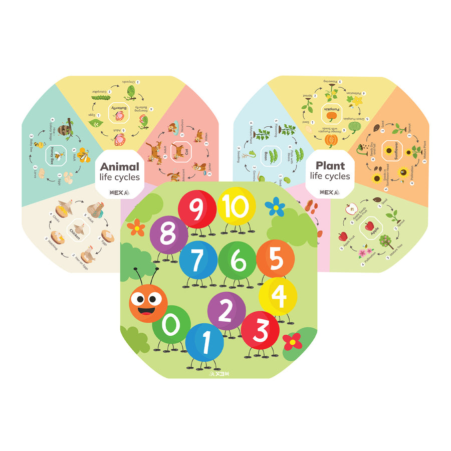 Learning Inserts Bundle